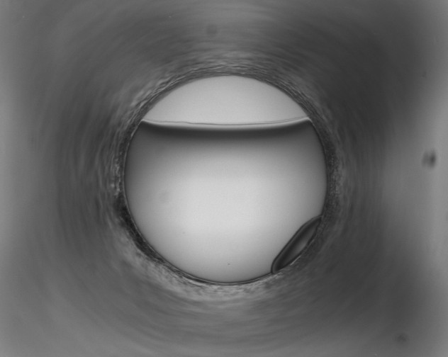 X0000116800031200912181128