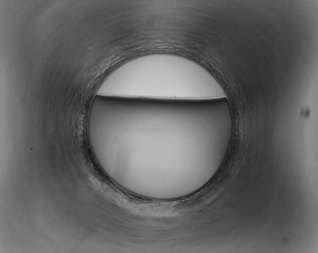 X0000116800032200912181128