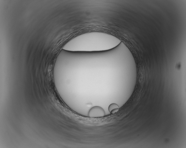 X0000116800034200912181128