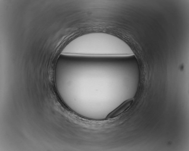 X0000116800035200912181128