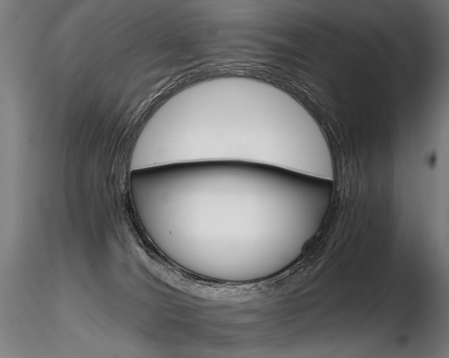 X0000116800036200912181128