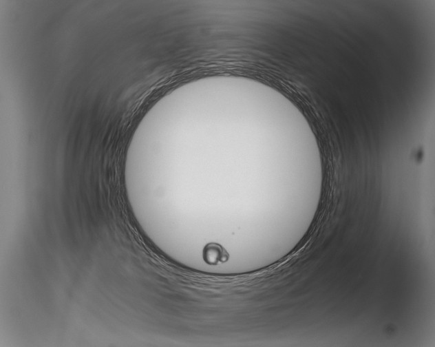 X0000116800037200912181128