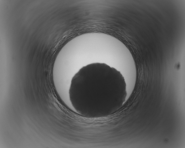 X0000116800038200912181128