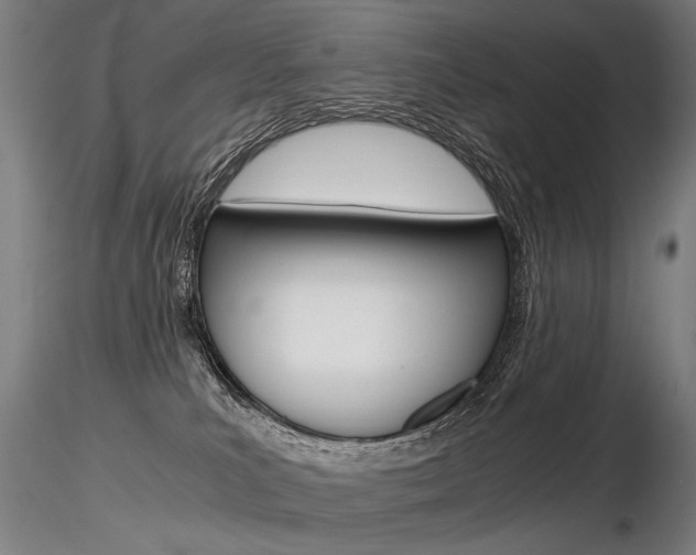 X0000116800039200912181128