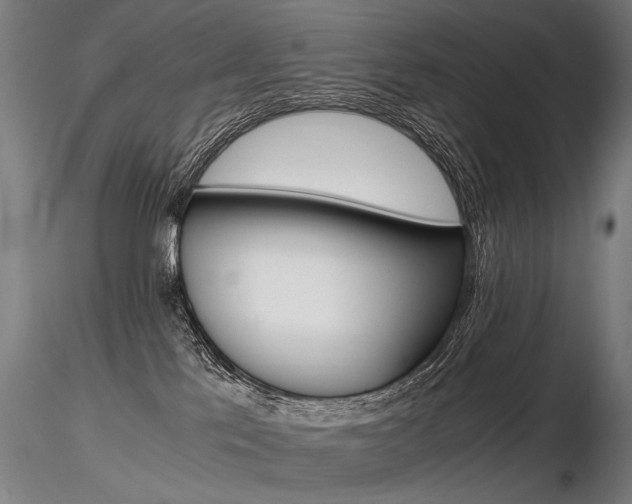 X0000116800041200912181128