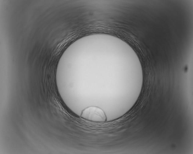 X0000116800043200912181128