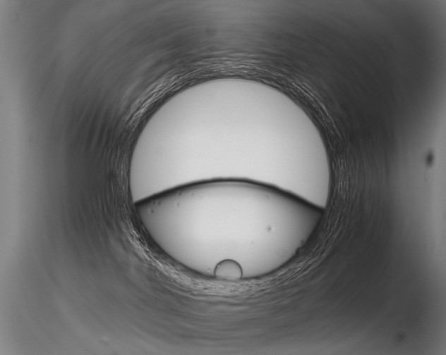 X0000116800044200912181128