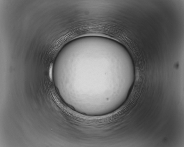 X0000116800047200912181128