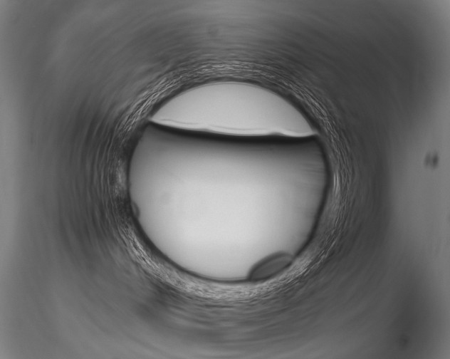 X0000116800048200912181128