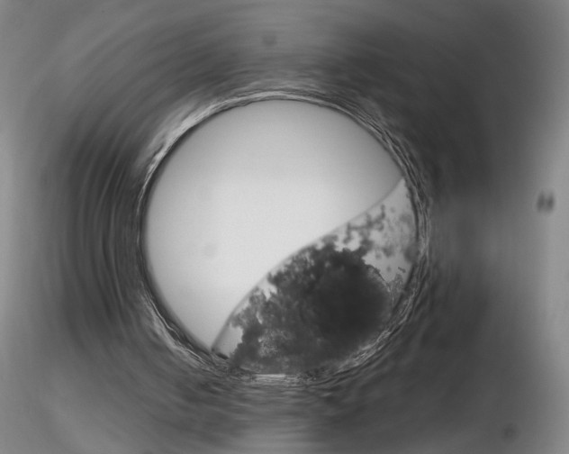 X0000116800050200912181127