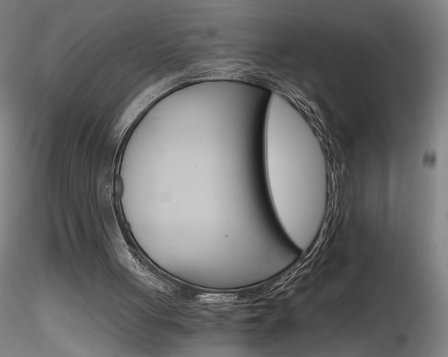 X0000116800051200912181127