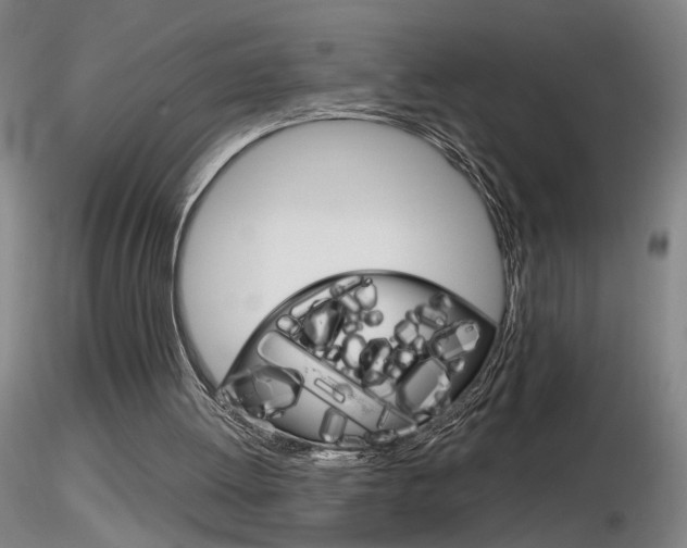 X0000116800052200912181127