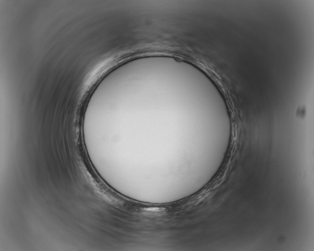 X0000116800053200912181127