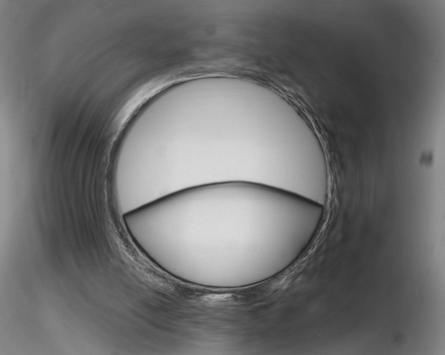 X0000116800054200912181127