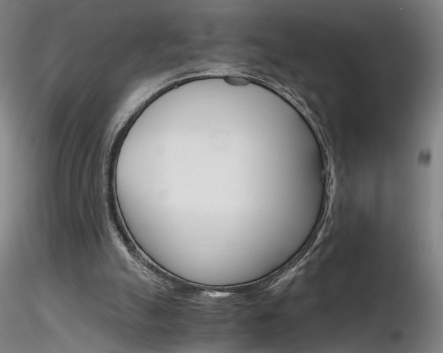 X0000116800055200912181127