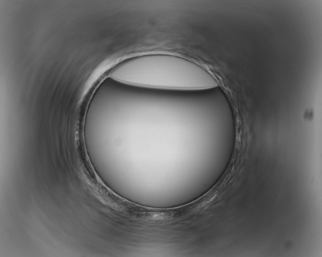 X0000116800056200912181127