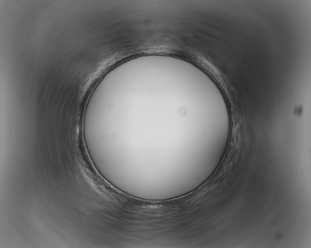 X0000116800059200912181127