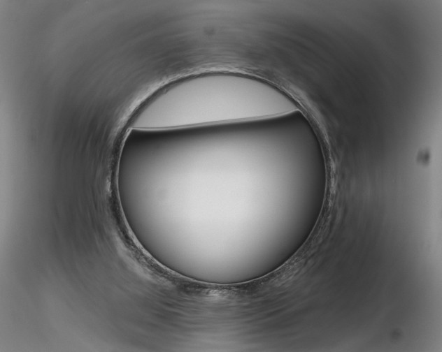X0000116800060200912181127