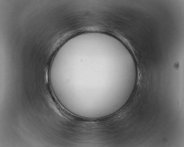 X0000116800061200912181127