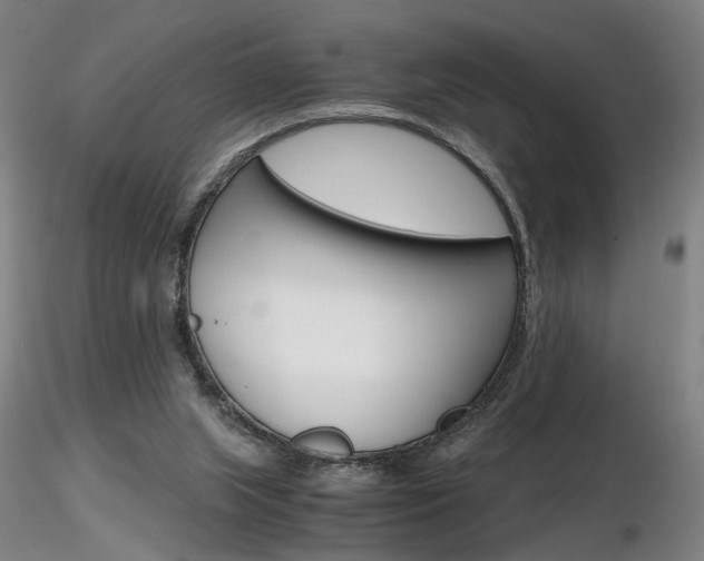 X0000116800063200912181127