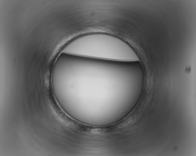 X0000116800064200912181127