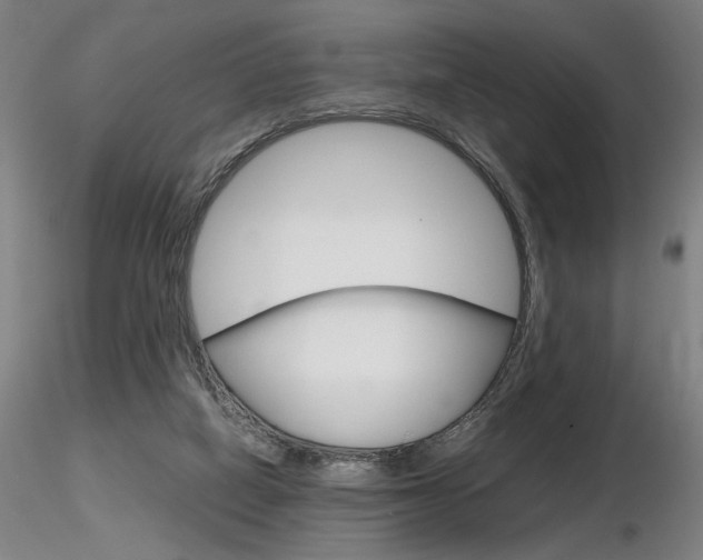 X0000116800066200912181127