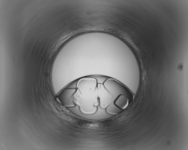 X0000116800068200912181128