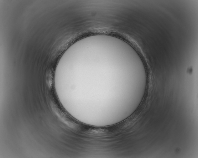 X0000116800069200912181128