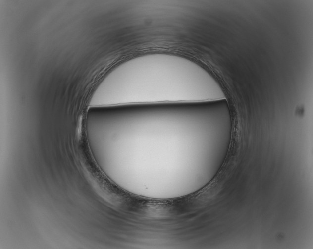 X0000116800070200912181128