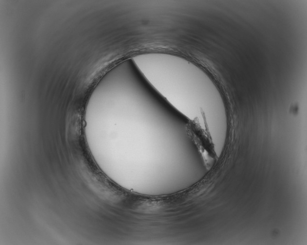 X0000116800071200912181128