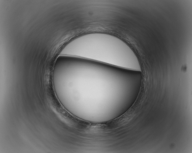 X0000116800072200912181128