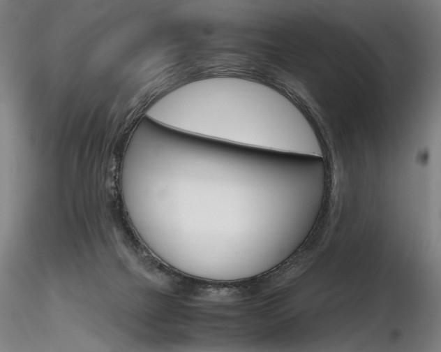 X0000116800073200912181128