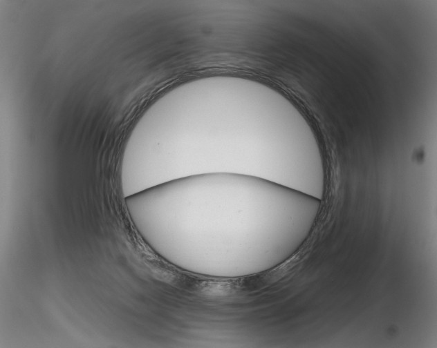 X0000116800074200912181128