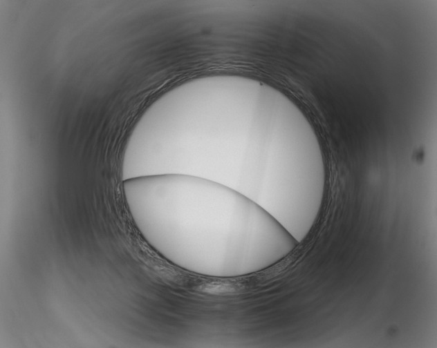 X0000116800075200912181128