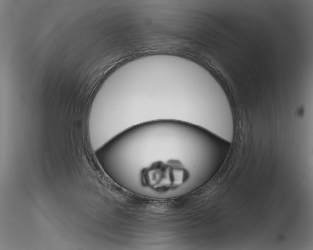 X0000116800076200912181128