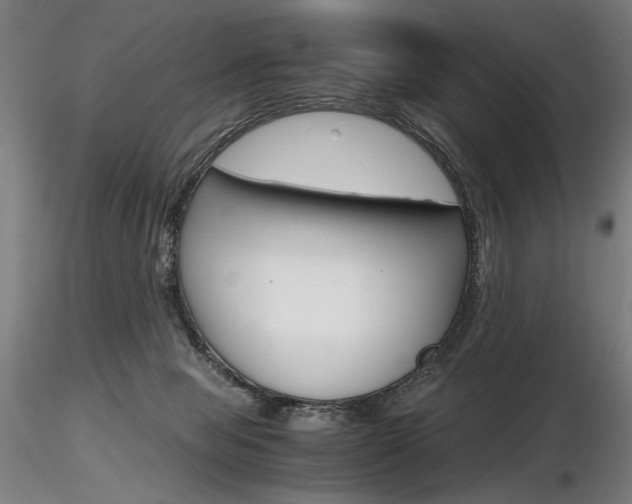 X0000116800077200912181128