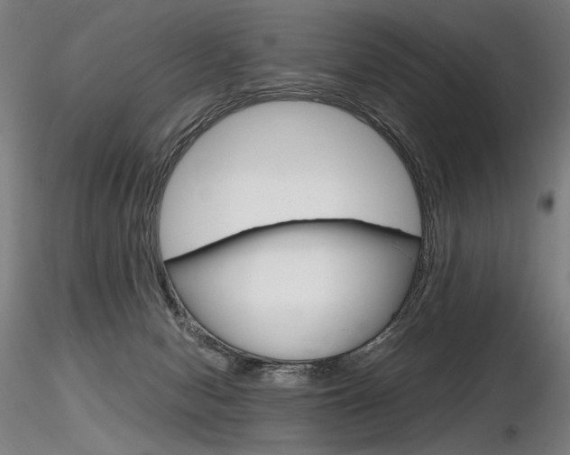 X0000116800078200912181128
