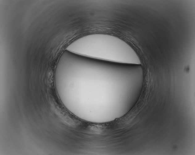 X0000116800079200912181128