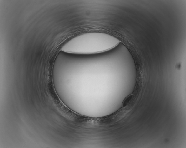 X0000116800080200912181128