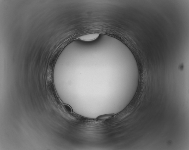 X0000116800081200912181128