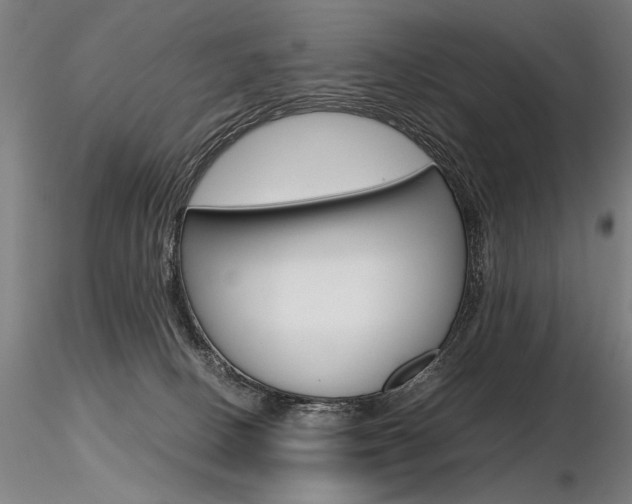X0000116800082200912181128