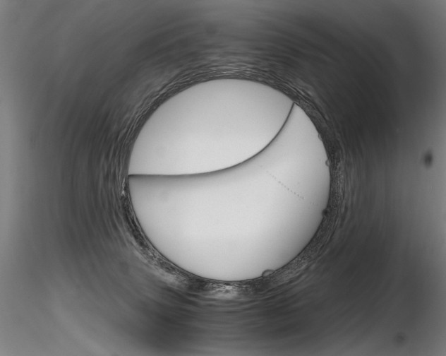 X0000116800083200912181128