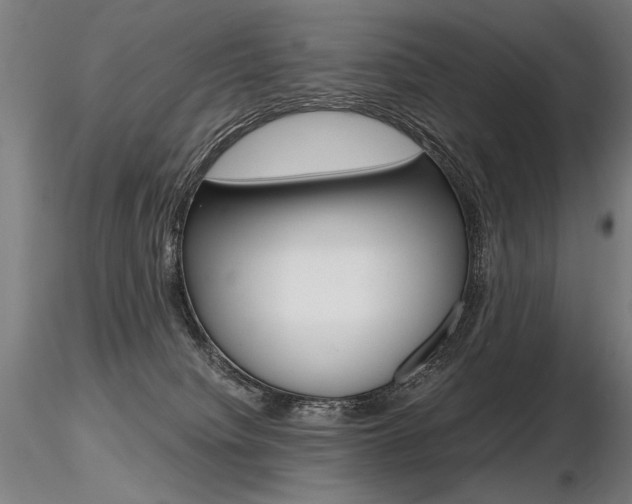 X0000116800084200912181128