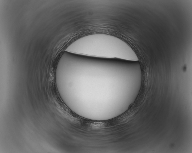 X0000116800085200912181128