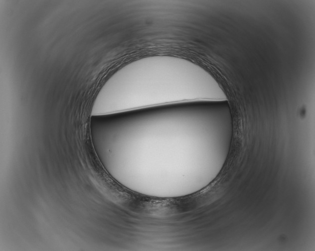 X0000116800086200912181128
