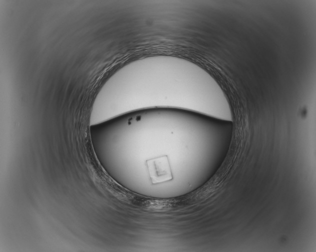 X0000116800088200912181128