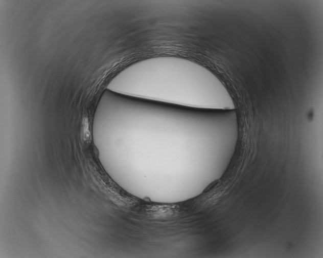 X0000116800089200912181128