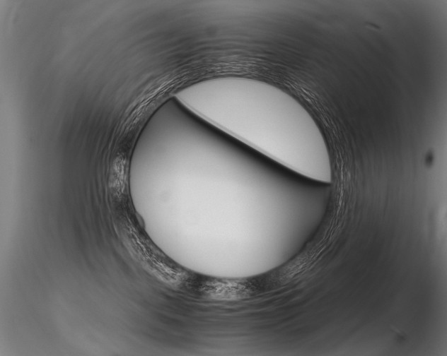 X0000116800093200912181128
