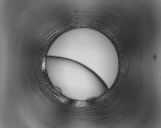X0000116800095200912181128