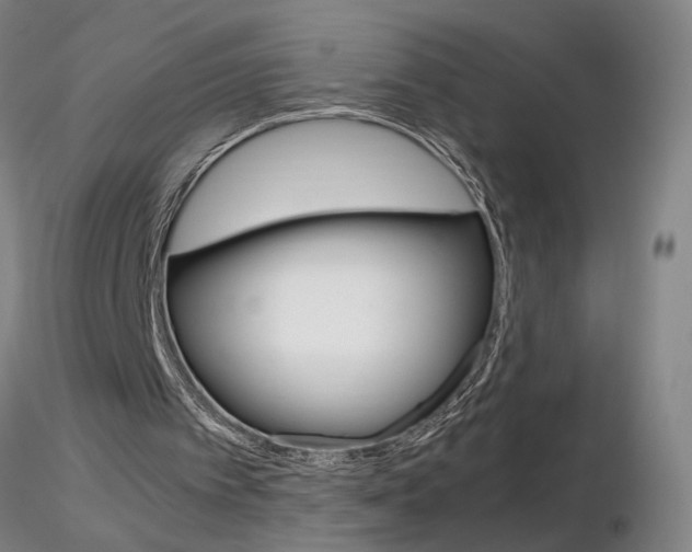 X0000116800097200912181127